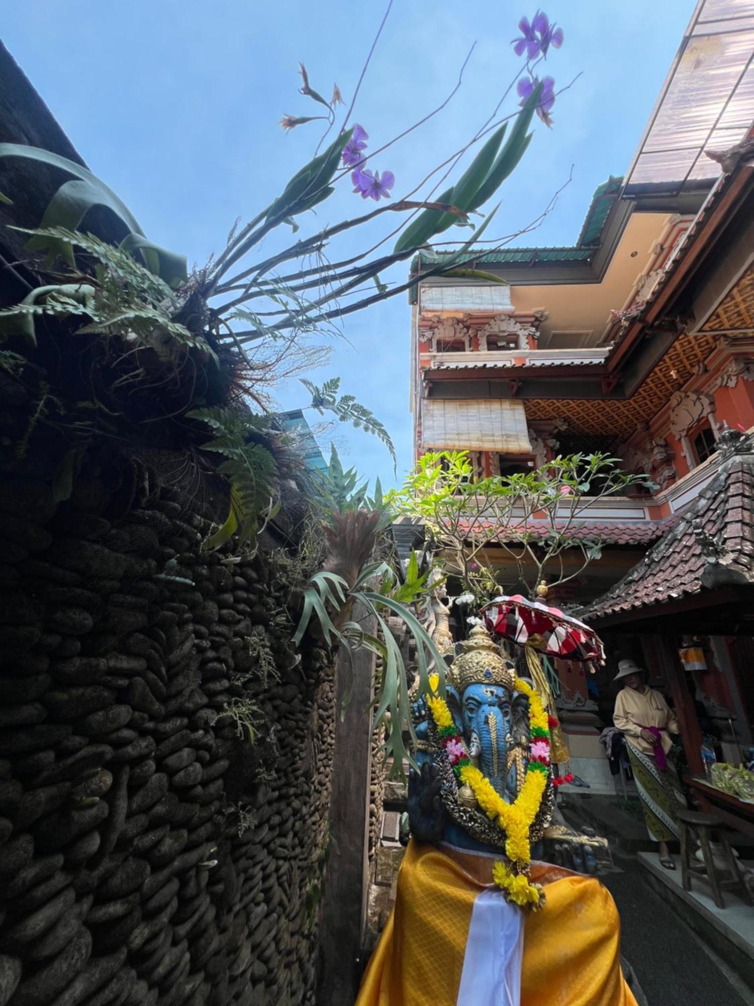 Banana Home Stay Ubud Eksteriør bilde